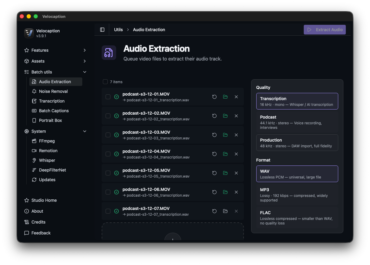 Audio Extraction Utility Interface