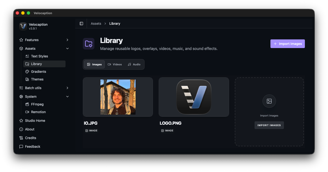 Velocaption Brand Assets Interface