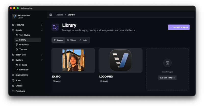Brand Assets & Global Library: Velocaption Guide